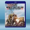  彩色二戰：勝利之路 WWII in Color: Road to Victory(2021)2碟 藍光25G