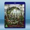 綠色星球 The Green Planet(2022)藍光2...