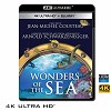 (優惠4K UHD) 奇妙的海洋 Wonders of the Sea (2017) 4KUHD