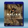 獅子王后瑪莉卡 Malika the Lion Queen(...