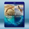 地球上的一年 A Year on Planet Earth(...