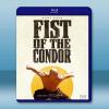 禿鷹之拳 The Fist of the Condor(20...