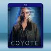 郊狼 Coyote (2023)藍光25G