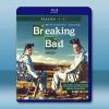  絕命毒師 第1-3季 Breaking Bad S1-S3 (2008-2010)藍光25G 4碟L