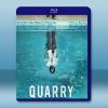 亡命之徒/越戰狙擊手 Quarry(2016)藍光25G 2...