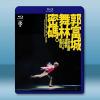 郭富城 舞林密碼 世界巡迴演唱會（香港站）藍光25G 2碟