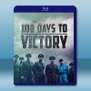 一戰最後的一百天 100 Days To Victory(2...