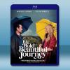 奇幻導航/綺夢之旅 A Big Bold Beautiful Journey(2025)藍光25G